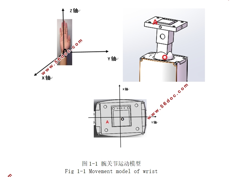 人工肌肉驱动腕关节的柔顺机构设计(含CAD图,Solidworks三维图)